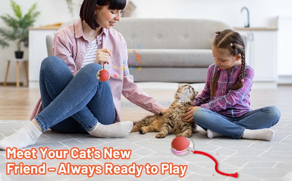 Setting Up the Interactive Toy