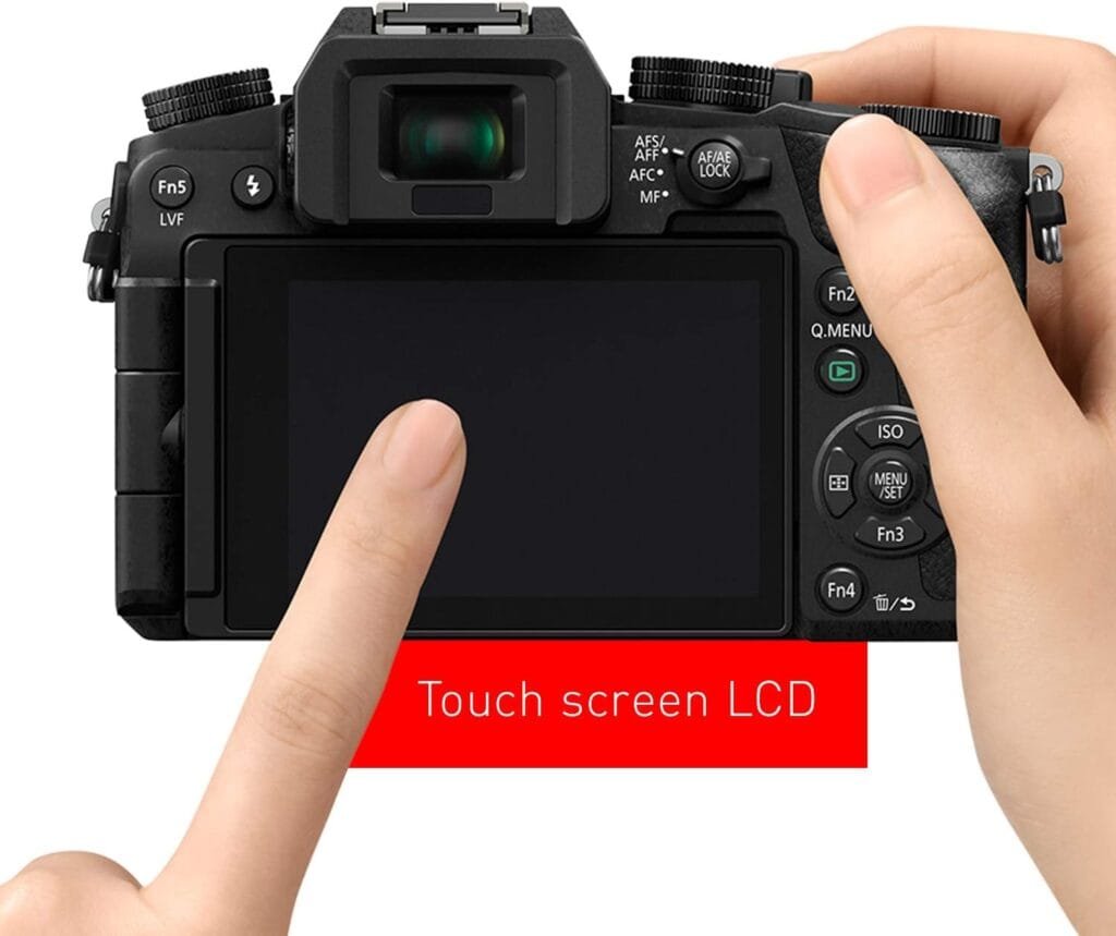 Viewfinder and LCD Display