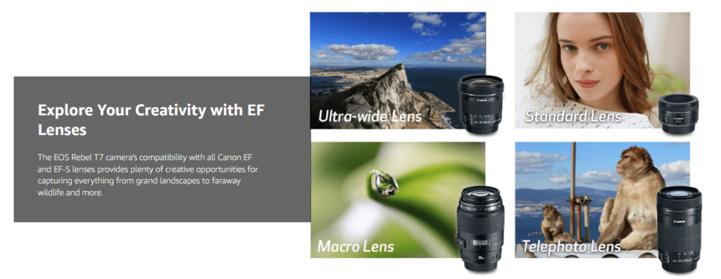 Compatibility with Canon EF Lenses