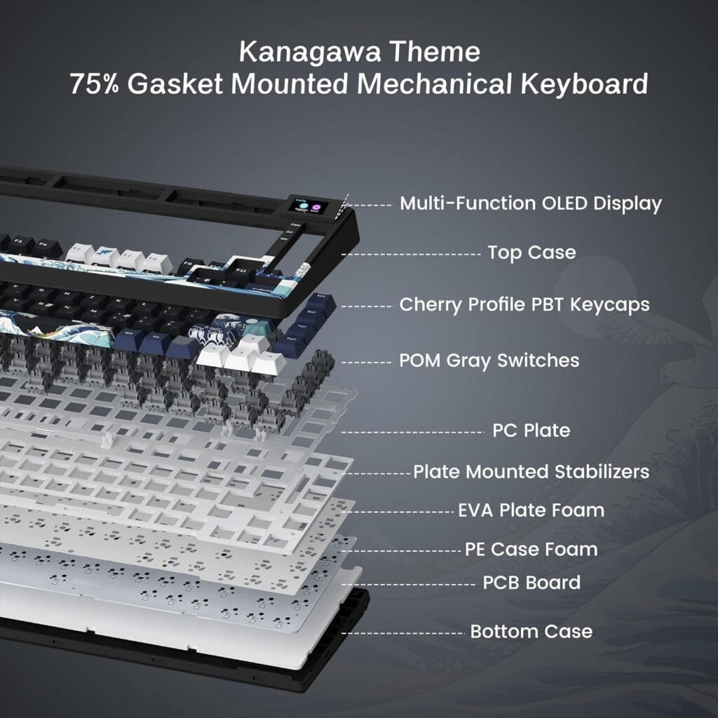 Vibrant Multimedia Display